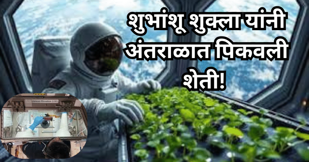 शुभांशू शुक्ला यांनी अंतराळात पिकवली शेती! अंतराळातून ‘मूग’ आणि ‘मेथी’ ची रोपे आणणार भारतात!