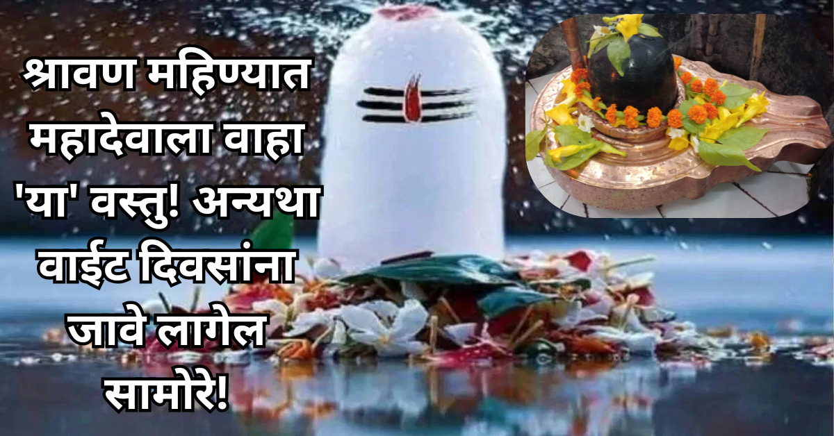 श्रावण महिण्यात महादेवाला वाहा ‘या’ वस्तु! अन्यथा वाईट दिवसांना जावे लागेल सामोरे!