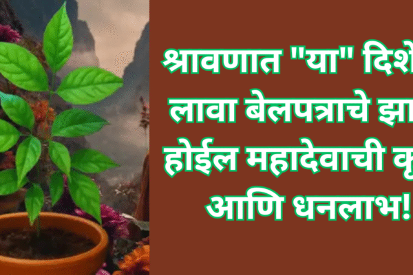 श्रावणात “या” दिशेला लावा बेलपत्राचे झाड; होईल महादेवाची कृपा आणि धनलाभ!