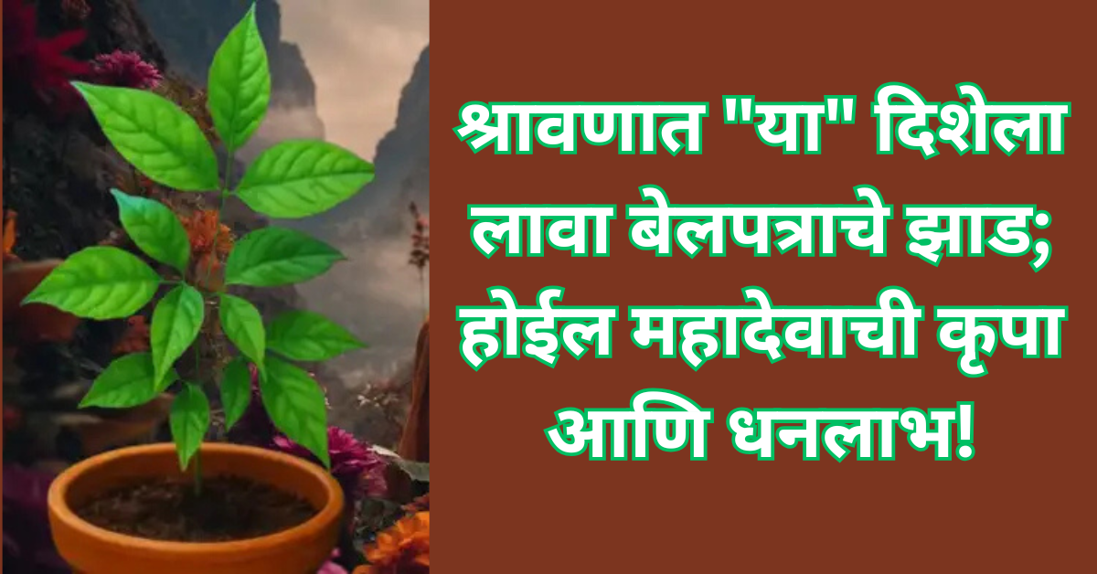 श्रावणात “या” दिशेला लावा बेलपत्राचे झाड; होईल महादेवाची कृपा आणि धनलाभ!