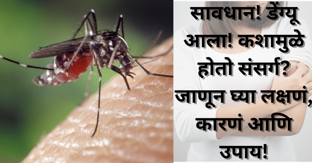 पावसाळ्यात ताप आला! सावधान डेंग्यू आला! कशामुळे होतो संसर्ग? जाणून घ्या लक्षणं, कारणं आणि उपाय!