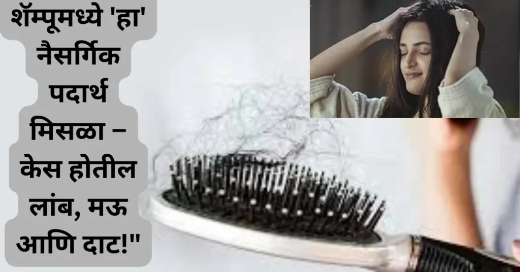 केस गळती व कोंड्यावर घरगुती उपाय: शॅम्पूमध्ये घाला खास पदार्थ! केस होतील लांब व दाट!
