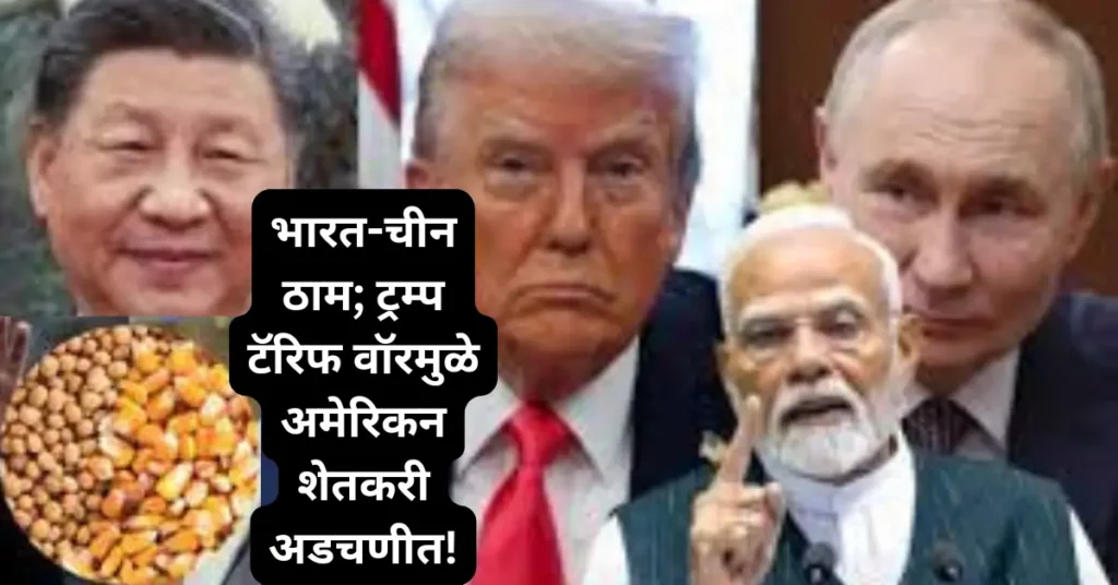 भारत-चीनची ठाम भूमिका; ट्रम्प टॅरिफ वॉरमध्ये अडकले!  अमेरिकन शेतकऱ्यांवर संकट!