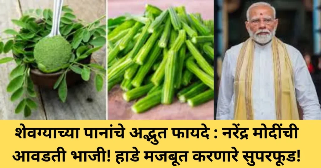 शेवग्याच्या पानांचे अद्भुत फायदे : नरेंद्र मोदींची आवडती भाजी! हाडे मजबूत करणारे सुपरफूड!