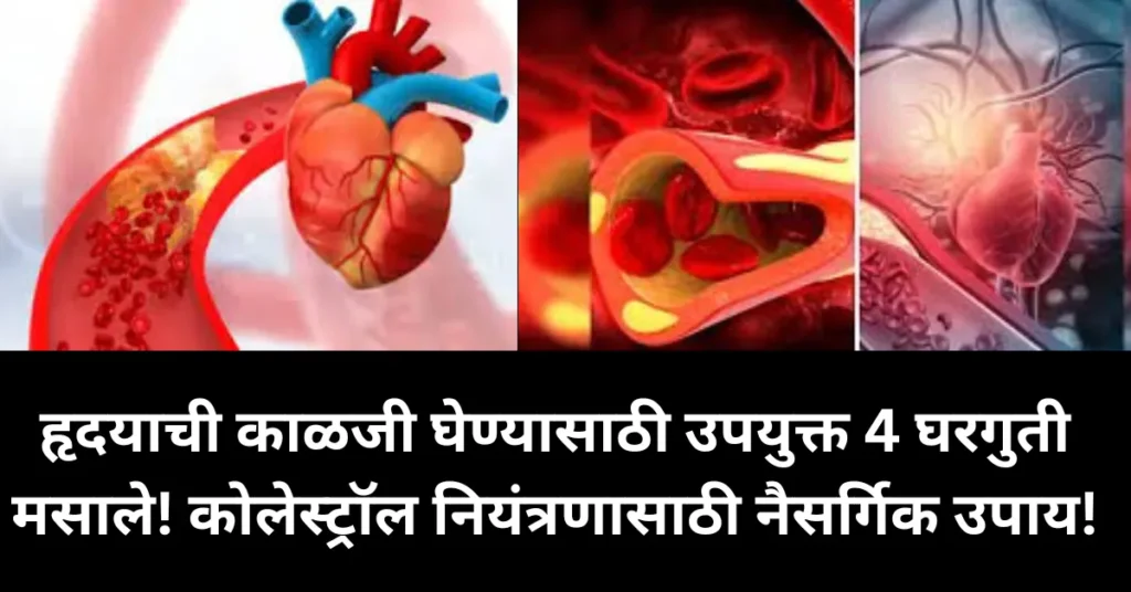 हृदयाची काळजी घेण्यासाठी उपयुक्त 4 घरगुती मसाले!कोलेस्ट्रॉल नियंत्रणासाठी नैसर्गिक उपाय!