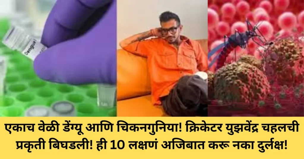 एकाच वेळी डेंग्यू आणि चिकनगुनिया! क्रिकेटर युझवेंद्र चहलची प्रकृती बिघडली! ही 10 लक्षणं अजिबात करू नका दुर्लक्ष!