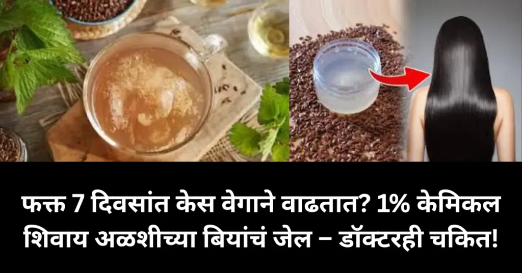 फक्त 7 दिवसांत केस वेगाने वाढतात? 1% केमिकलशिवाय अळशीच्या बियांचं जेल – डॉक्टरही चकित!