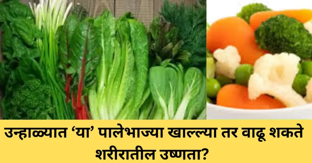 उन्हाळ्यात ‘या’ पालेभाज्या खाल्ल्या तर वाढू शकते शरीरातील उष्णता?
