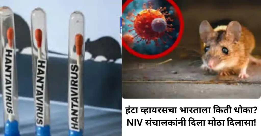 हंटा व्हायरसचा भारताला किती धोका? NIV संचालकांनी दिला मोठा दिलासा!