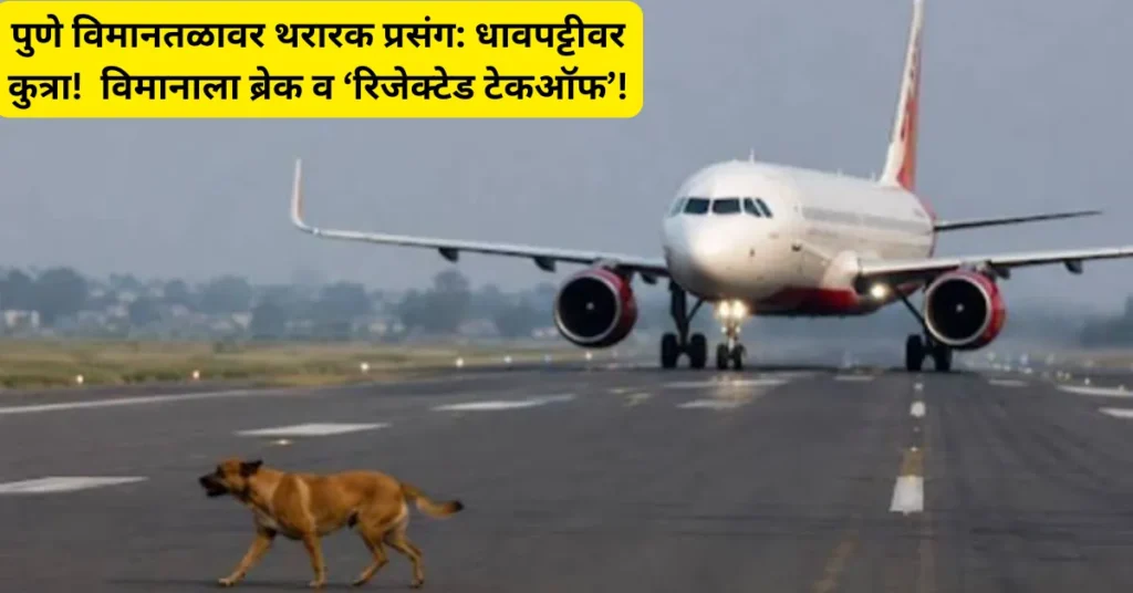 पुणे विमानतळावर थरारक प्रसंग: धावपट्टीवर कुत्रा! उड्डाणाच्या क्षणी विमानाला ब्रेक व ‘रिजेक्टेड टेकऑफ’!